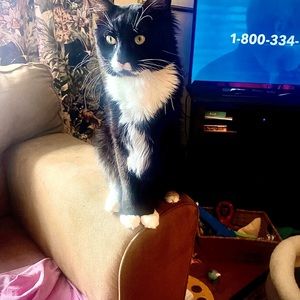 Meet your Posher, Randolph